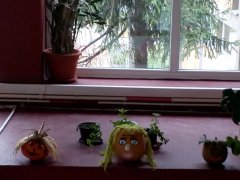 IMG_20191010_140333.jpg